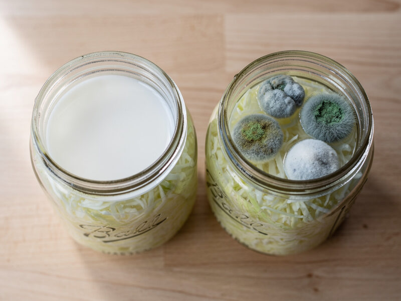 Sauerkraut Mold vs Kahm Yeast: How to Tell the Difference (Photos)