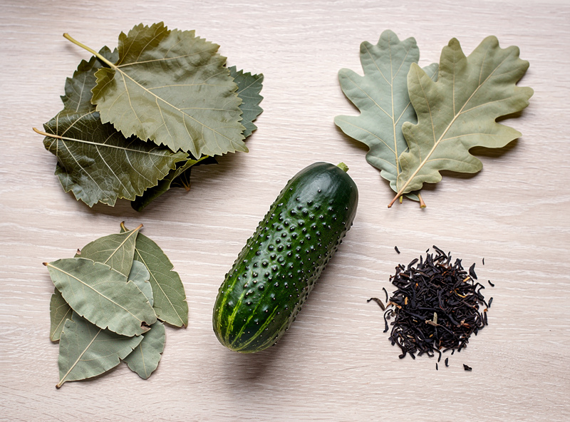 Top-down photograph of grape leaves, bay leaves, oak leaves, and black tea leaves arranged with a Kirby cucumber