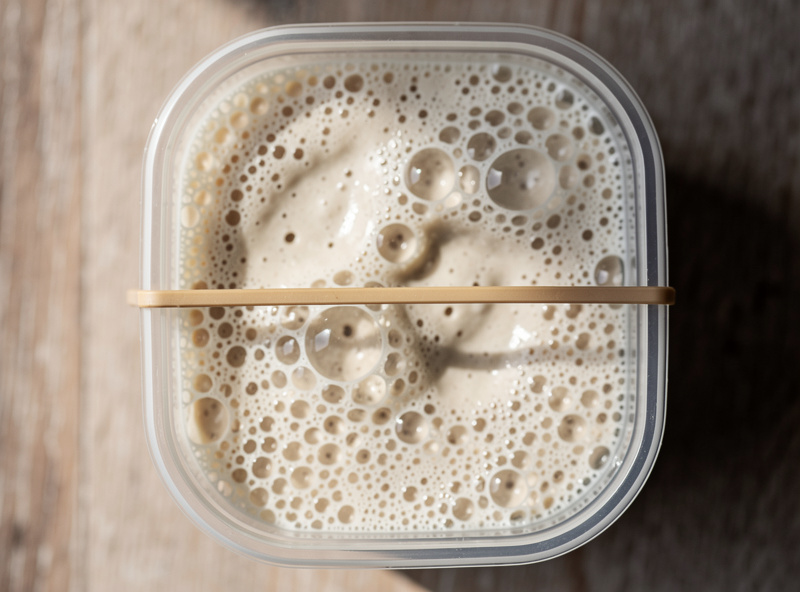 Top-down macro of a thriving bubbly sourdough starter at peak rise with rubber band marking start level