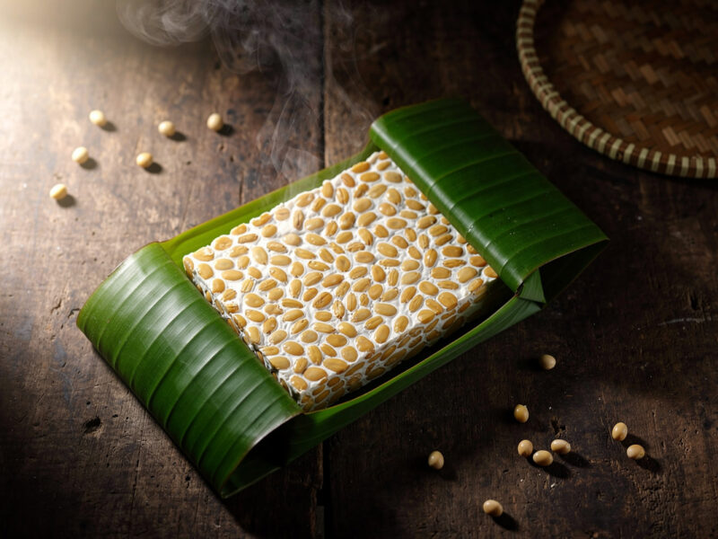 Tempeh and Koji: Where Fermentation Meets Mushroom Cultivation