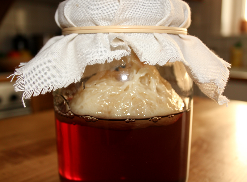 A glass jar of red wine vinegar with a thick rubbery cellulose mother floating on the surface, partially covered with a breathable cloth secured by a rubber band