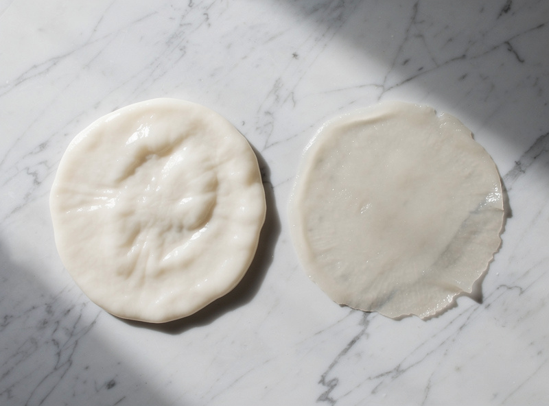 Thick healthy kombucha SCOBY pellicle grown on black tea compared to a thin pale one