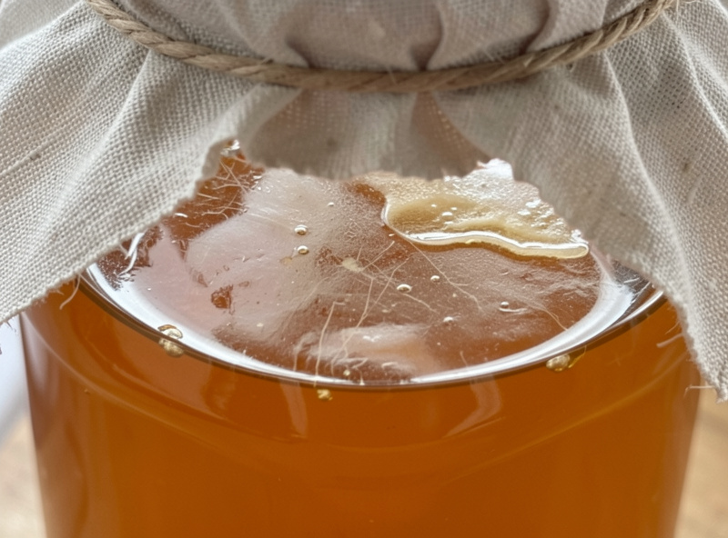 A thin translucent vinegar mother film forming on the surface of amber vinegar in a wide cloth-covered jar