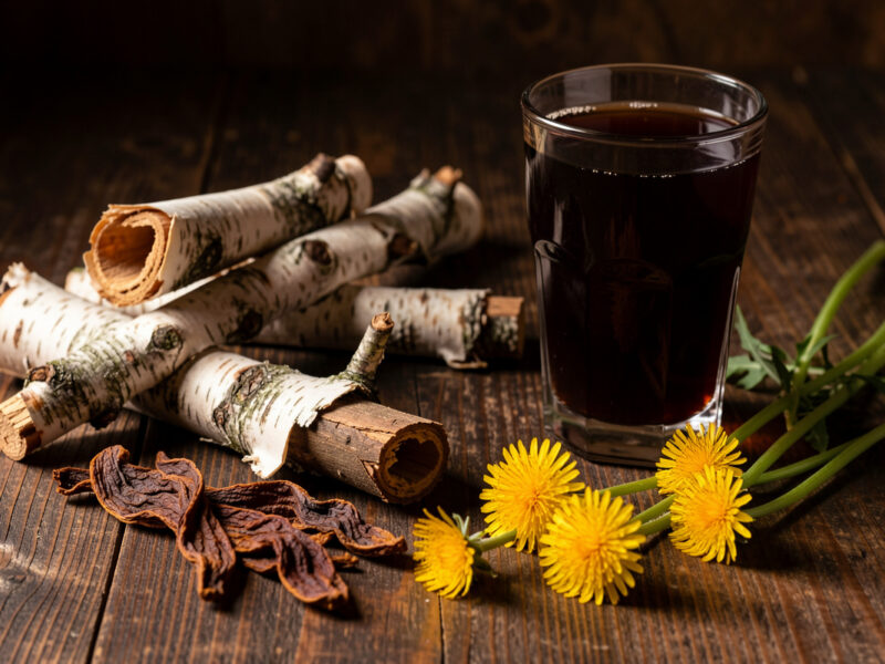 Herbal and Root Sodas: Sarsaparilla, Birch, and Dandelion