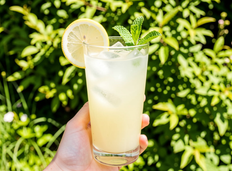Tall glass of switchel over ice with a lemon wheel and mint sprig held against bright summer greenery